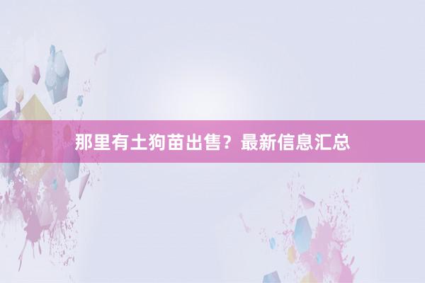那里有土狗苗出售？最新信息汇总